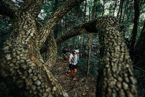 BIB: 
                            <button type="button" onclick="openModal(25392723)" class="btn btn-primary btn-sm float-right btn-popup" data-toggle="modal" data-target=".modal-high-quality">
                        <i class="fas fa-shopping-cart"></i> Add to Cart
                    </button>
                                            <button type="button" onclick="isThisMe(25392723, true)" class="btn btn-success btn-sm float-right btn-popup btn-isme hidden" data-toggle="tooltip" data-placement="bottom" title="นี่คือรูปของคุณใช่ไหม คลิกที่นี่เพื่อเอาเข้าอัลบั้ม">
                        <i class="fas fa-plus"></i> Add to album
                    </button>
                    <button type="button" onclick="isThisMe(25392723, false)" class="btn btn-warning btn-sm float-right btn-popup btn-isnotme hidden">
                        <i class="fas fa-ban"></i> Remove from album
                    </button>